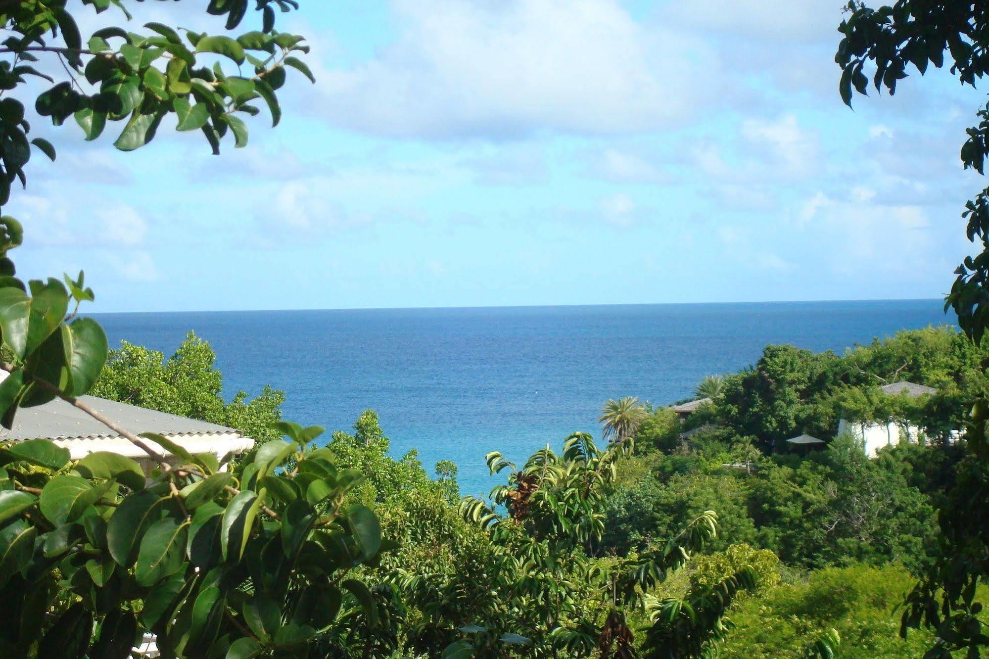 Galley Bay Cottages Five Islands Village Exterior photo