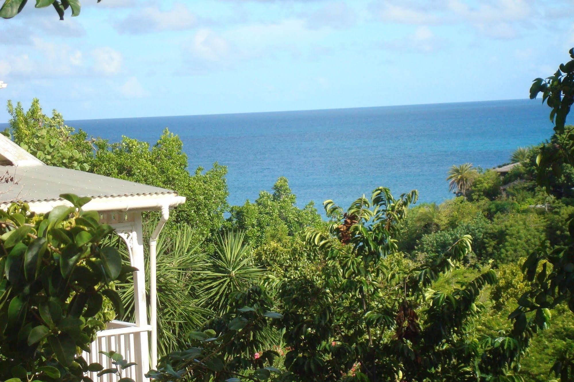 Galley Bay Cottages Five Islands Village Exterior photo